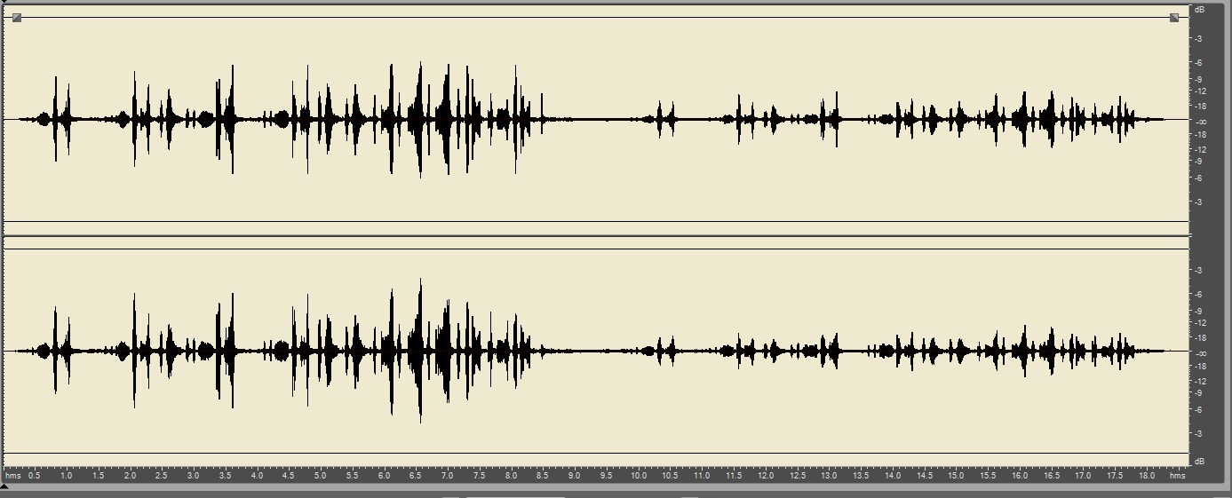 Primo Em172 Comparison Microphones – NatureSound.it